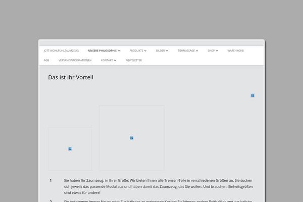 Tiny Framework theme site design template sample