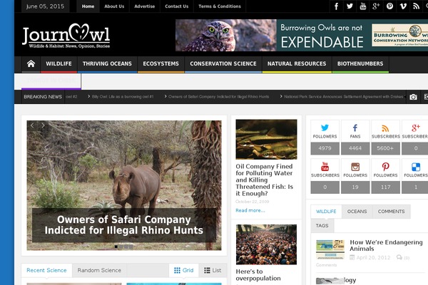 Multinews theme site design template sample