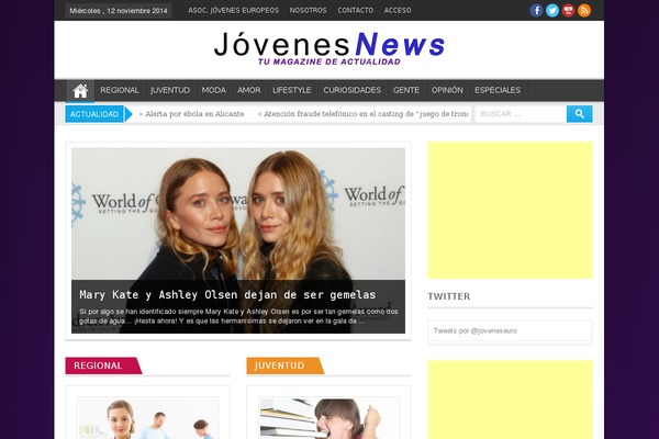 Effectivenews theme site design template sample