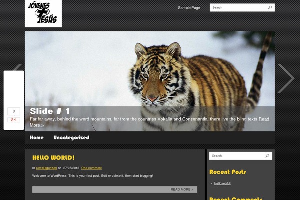 WordPress website example screenshot