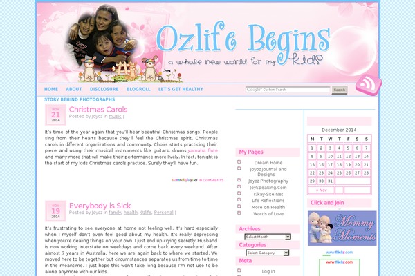 joy-of-oz.com site used Simpleredtheme