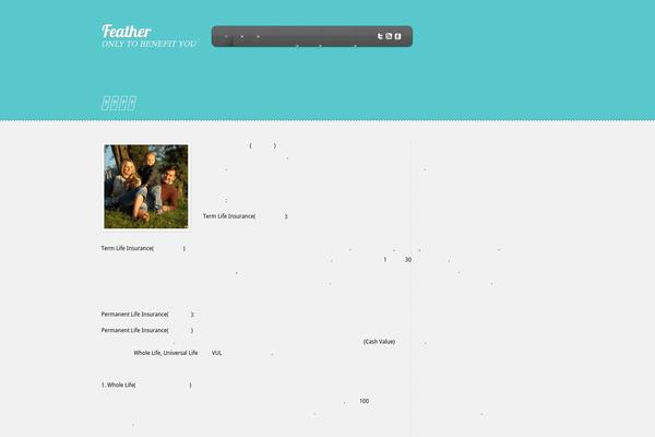 joy2benefit.com site used Feather