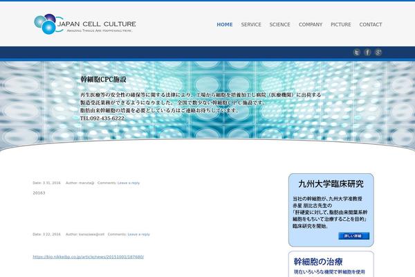 Celestial - Lite theme site design template sample