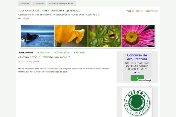 Misty Look theme site design template sample