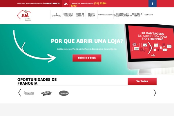 implatacao theme websites examples