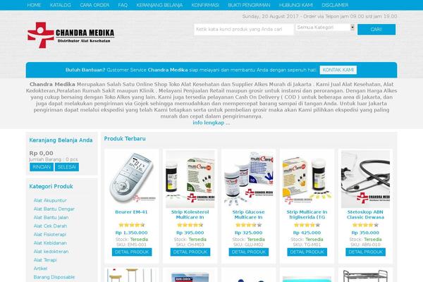 Okestore1.0 theme site design template sample