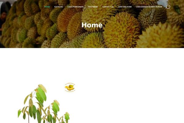 Surya Chandra Lite theme site design template sample