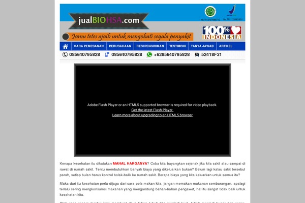 Toko Landing theme site design template sample
