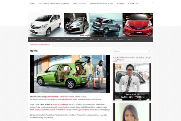 Site using SEO Auto Links & Related Posts plugin
