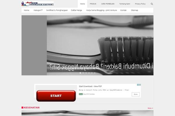 jualtransferfactor.com site used Superfast-child