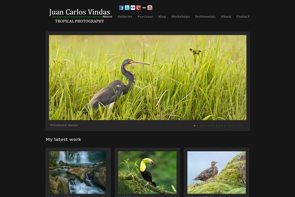 Work theme site design template sample