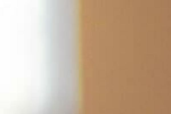 jtb theme websites examples