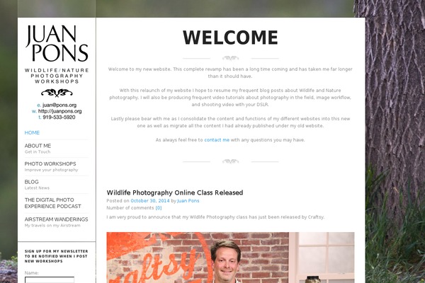 Flashlight theme site design template sample