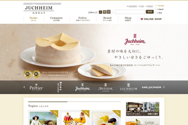 Site using Qtranslate-xt-master plugin