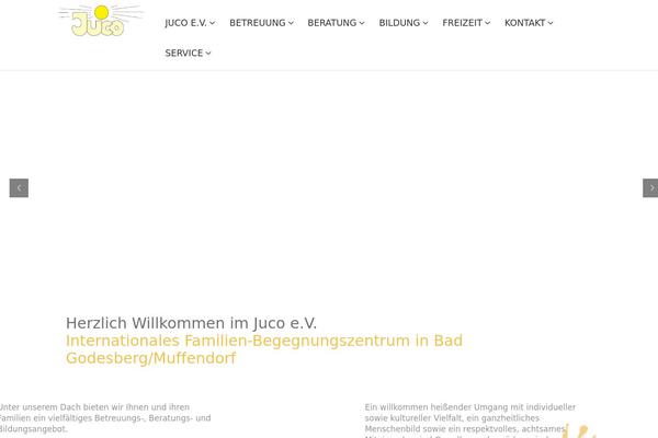 Assan-child theme site design template sample