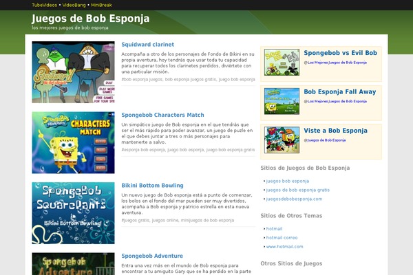 Estandardevideos theme site design template sample