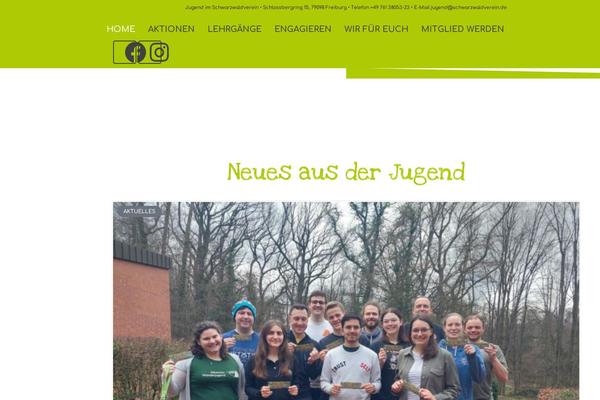 Site using Jet-elements plugin