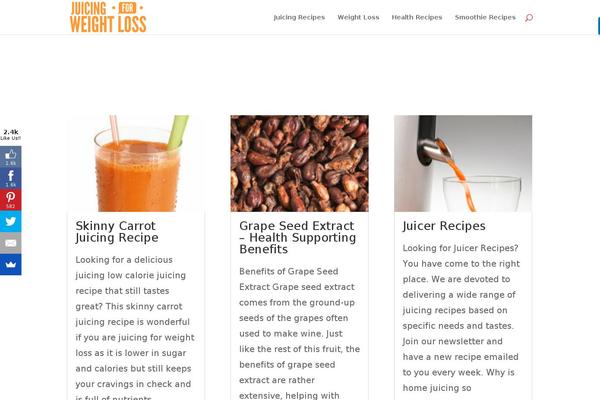 Divi Child theme site design template sample