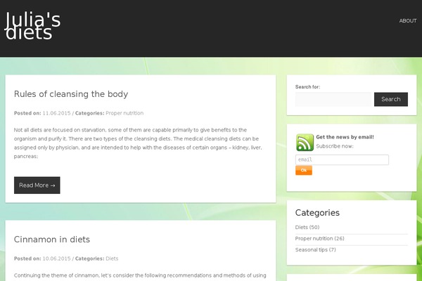 Nova Lite theme site design template sample