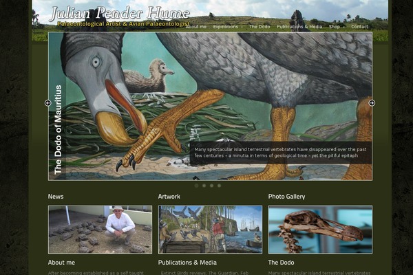 Studiobox theme site design template sample