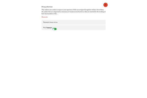 Custom-made theme site design template sample