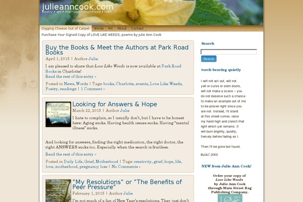 Ambition theme site design template sample