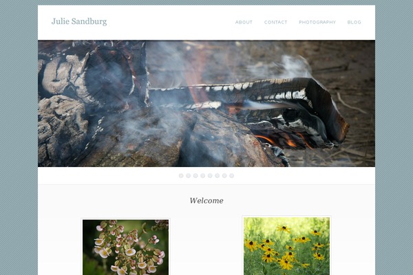 Dandelion theme site design template sample