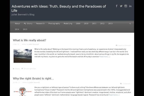 Site using WPaudio MP3 Player plugin