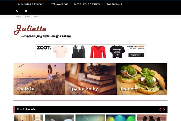 Reader theme site design template sample