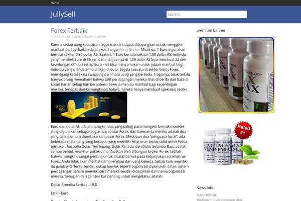 NewTek theme site design template sample