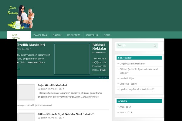 Tema theme site design template sample