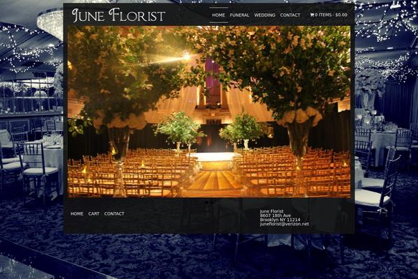 Site using EWSEL Lightbox For Galleries plugin