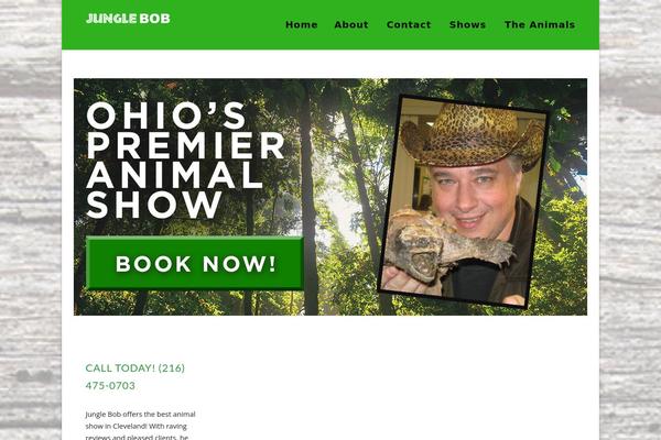 Chicago theme site design template sample