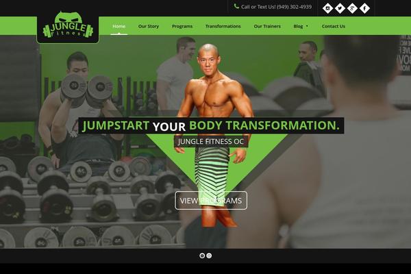 Site using Category Posts Widget plugin