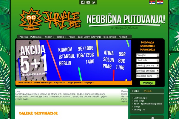 Jungle theme websites examples