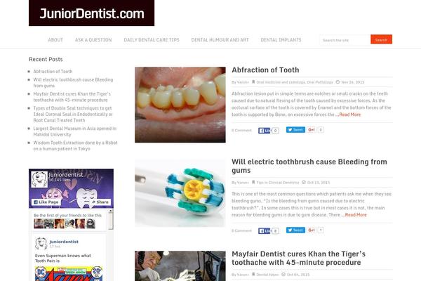 Metro Pro theme site design template sample