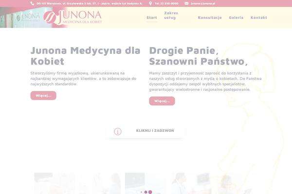 Bridge Child theme site design template sample
