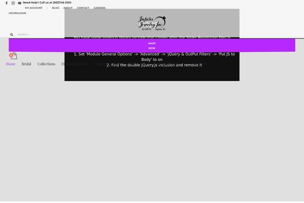 Site using Woocommerce-product-search plugin