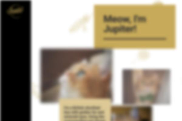 Site using Uncode-daves-wordpress-live-search plugin