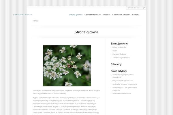 CityLogic theme site design template sample