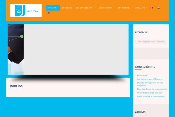 Ace theme site design template sample