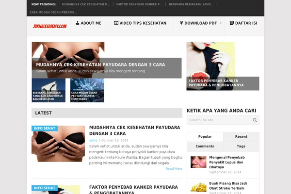 jurnalesdjemy.com site used You Minisite