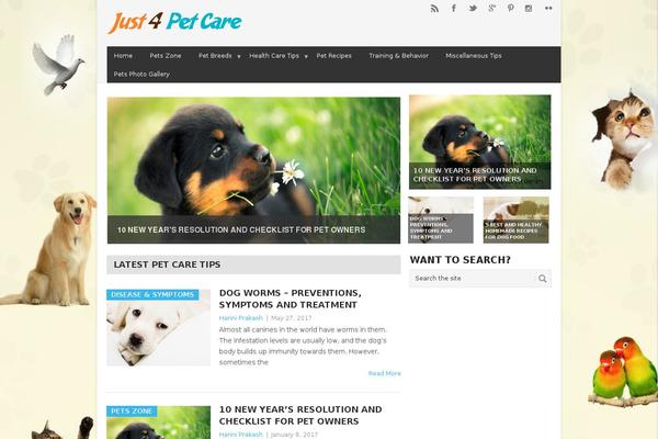 Site using WEN's Social Links plugin