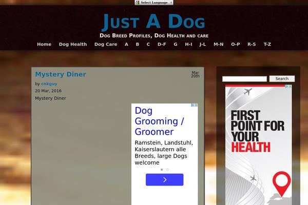 Adventure theme site design template sample