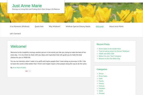 justannemarie.com site used zeeMinty
