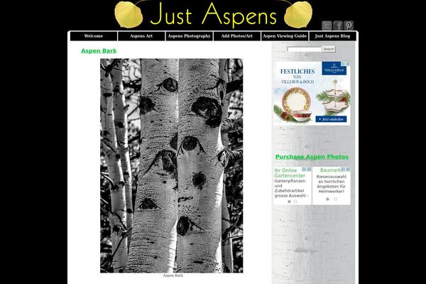 Default theme site design template sample