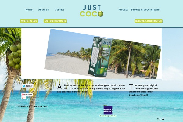 Pinpoint theme site design template sample