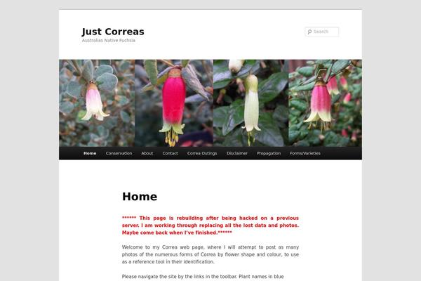 Site using Hit Counter Max plugin