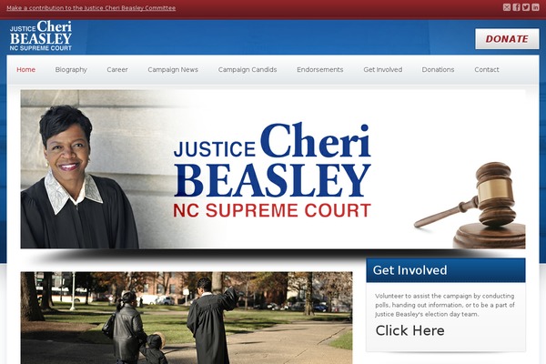 Candidate theme site design template sample