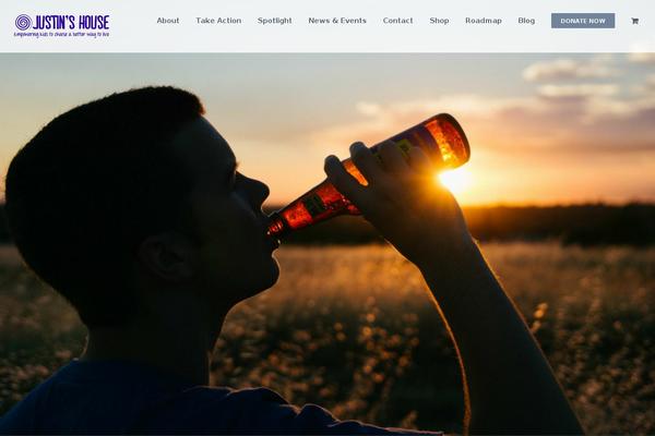 Site using Gravity Forms No CAPTCHA reCAPTCHA plugin